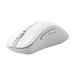 ASUS Wireless Mouse MD102 (WH)