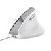 TRUST BAYO II ERGONOMIC MOUSE WHT