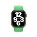 Watch Acc/41/Bright Green SB-Reg