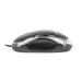 Natec UGO Optic mouse SIMPLE 1000 DPI, Black