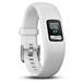 GARMIN fitness náramek vívofit4 White/ LCD 11 x 11 mm (velikost S/M)