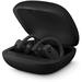 Powerbeats Pro Wireless Earphones - Black