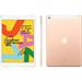 Apple iPad 10,2´´ wi-fi + 4G 32GB Gold (2019)