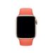 Watch Acc/44/Clementine Sport Band - S/M & M/L