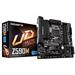 GIGABYTE Z590M, Sc LGA1200, Intel Z590, 4xDDR4, 1xDP, 1xHDMI, 1xDVI, mATX