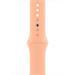 Watch Acc/44/Cantaloupe SB-Reg