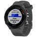 GARMIN GPS sportovní hodinky Forerunner 55 Grey