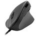 SPEED LINK myš PIAVO Ergonomic Vertical Mouse, USB, černá