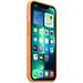 APPLE iPhone 13 Pro Silicone Case with MagSafe – Marigold