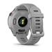 Garmin GPS sportovní hodinky Forerunner® 255S, Powder Grey