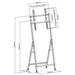 Neomounts  PLASMA-M1000 / Flat Screen Floor Stand (height: 108 cm) / Black