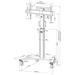 Neomounts Select  FL50S-825WH1 / Mobile Display Floor Stand (37-75") 10 cm. Wheels / White