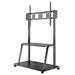 Neomounts  NS-M4000BLACK / Mobile Flat Screen Floor Stand (stand+trolley) (height: 137-153 cm) box 1/2 / Black