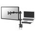 Neomounts  FPMA-D960NOTEBOOK / Flat Screen & Notebook Desk Mount (clamp)  / Black