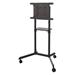 Neomounts  NS-M1250BLACK / Mobile Flat Screen Floor Stand (height: 160 cm) / Black