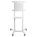 Neomounts  NS-M1250WHITE / Mobile Flat Screen Floor Stand (height: 160 cm) / White