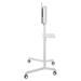 Neomounts  NS-M1250WHITE / Mobile Flat Screen Floor Stand (height: 160 cm) / White