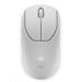 Dell Alienware Pro Wireless Gaming Mouse (Lunar Light)