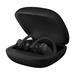 Powerbeats Pro Wireless Earphones - Black