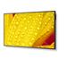 55" LED NEC M551-2,3840x2160, 24/7, 500cd