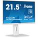 22" iiyama XUB2292HSU-W6:IPS,FHD,HDMI,DP,HAS,repro