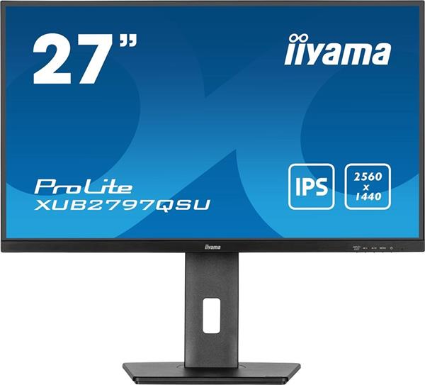 IIYAMA