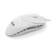 ACUTAKE ICE-O-MOUSE Exclusive 3D 800DPI (USB and PS/2)