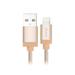 AKASA kabel Lightning na USB / 100cm / zlatý