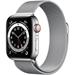 Apple Watch Series 6 40mm Cellular stříbrná ocel se stříbrným milánským tahem