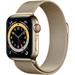 Apple Watch Series 6 40mm Cellular zlatá ocel se zlatým milánským tahem