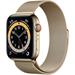 Apple Watch Series 6 44mm Cellular zlatá ocel se zlatým milánským tahem