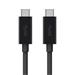 BELKIN kabel USB-C to USB-C monitor cable,2m,black