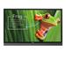 BenQ LCD RM7501K 75" /3840x2160/1200:1/350cd/20-point touch/HDMIx5/VGA/4xUSB/VESA