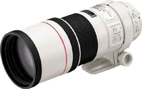 Canon EF 300mm f/4 L IS USM - SELEKCE AIP1