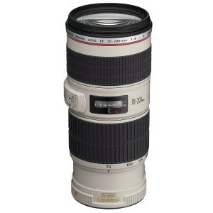 Canon EF 70-200mm f/4,0 L IS USM - SELEKCE AIP1