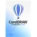 CorelDraw Standard 2021 License (100-250) EN/FR/ES/BR/IT/NL/CZ/PL