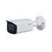 Dahua IP kamera IPC-2 HFW2431T