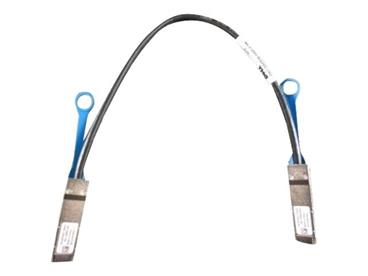 Dell Networking Cable 100GbE QSFP28 to QSFP28 Passive Copper Direct Attach 0.5 Meter Cust Kit