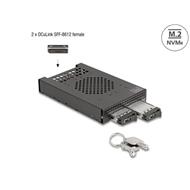 Delock 3.5” Mobilní rack pro 2 x SSD M.2 NVMe s konektorem OcuLink SFF-8612