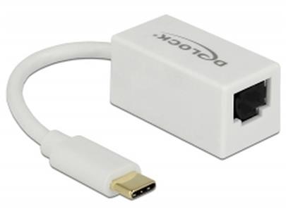 Delock Adaptér Super Speed USB (USB 3.1 Gen 1) s USB Type-C™ samec > Gigabit LAN 10/100/1000 Mbps kompaktní bílá