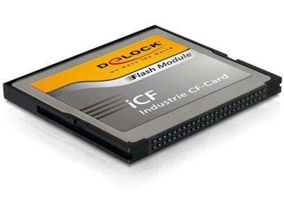 DeLock CompactFlash Card 2 GB industrial