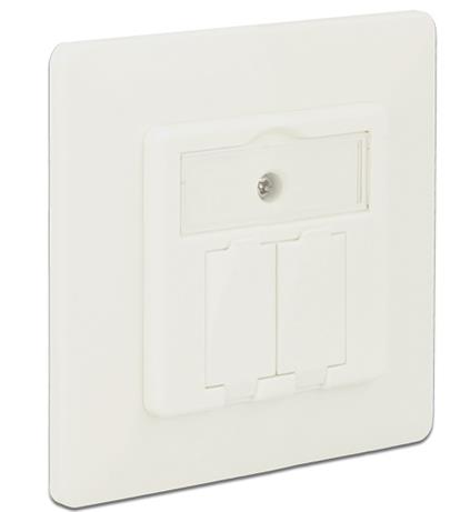 Delock Keystone Wall Outlet 2 Port compact