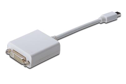 Digitus DisplayPort adapter cable, mini DP - DVI (24+5) M/F, 0.15m, DP 1.1a compatible, CE, wh