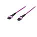 Digitus Fiber Optic Patchcord, MPO to MPO, Female OM4, Multimode 50/125 µ, 1m, Method A Jacket: violet,Housing: violet