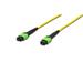Digitus Fiber Optic Patchcord, MPO to MPO, Female OS2, Singlemode 09/125 µ, 1m, Method A Jacket: yellow, Housing: green