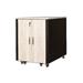 Digitus SOUNDproof Cabinet 1000x750x1130 mm, wooden surface maple metal parts black RAL 9005
