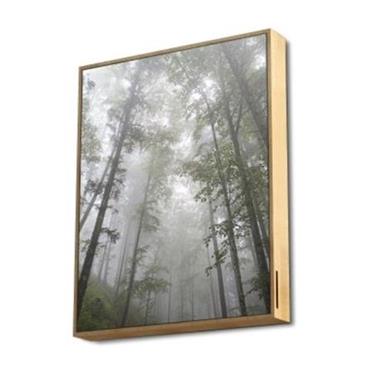 ENERGY Frame Speaker Forest, Výkonný reproduktor zasazený do exkluzivního plátna s dřevěným rámem