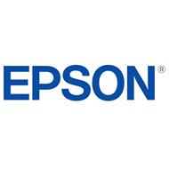 EPSON cartridge T13W1 black L (EM-C7100/EP-C7000)