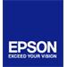 EPSON cartridge T596A orange (350ml)