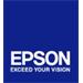 EPSON cartridge T6369 light light black (700ml)